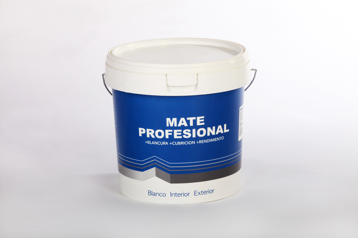 8752_webBASIK_MATE_PROFESIONAL